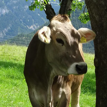 Linharterhof Κατάλυμα σε φάρμα *