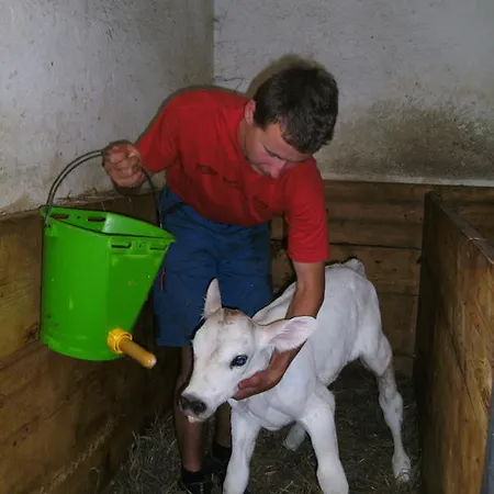 Κατάλυμα σε φάρμα Linharterhof Haus im Ennstal