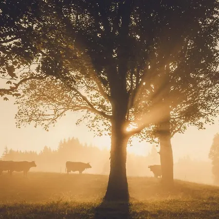 Κατάλυμα σε φάρμα Linharterhof *