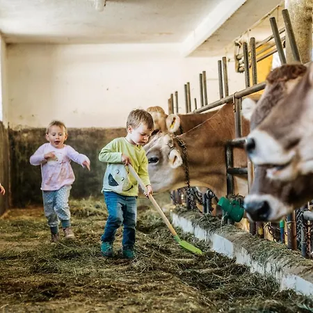 Linharterhof Farm stay Haus im Ennstal