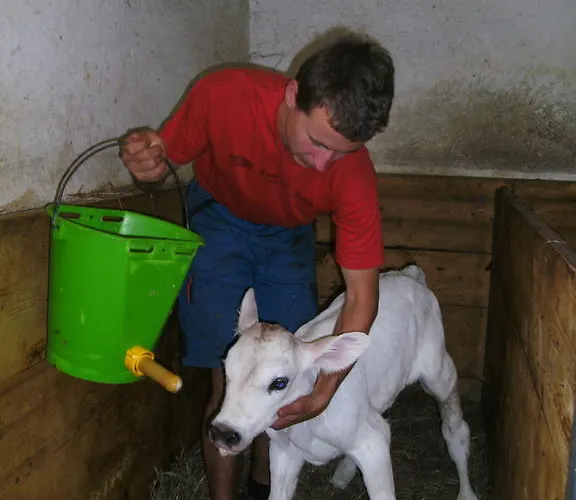 Farm stay Linharterhof Haus im Ennstal