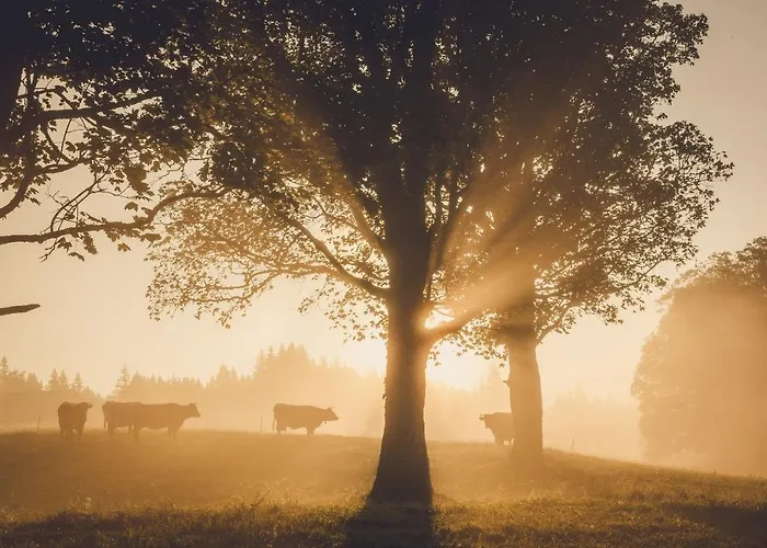 Farm stay Linharterhof *