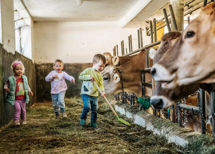 Linharterhof Farm stay Haus im Ennstal